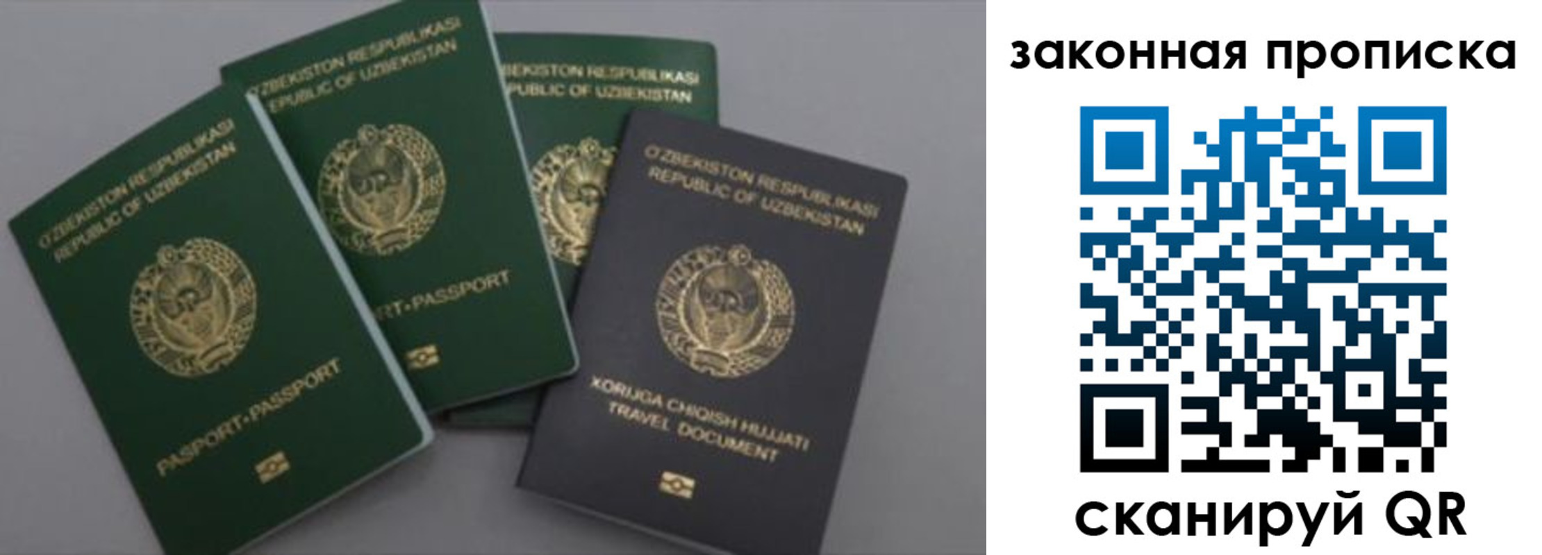 прописка законно в Тынде